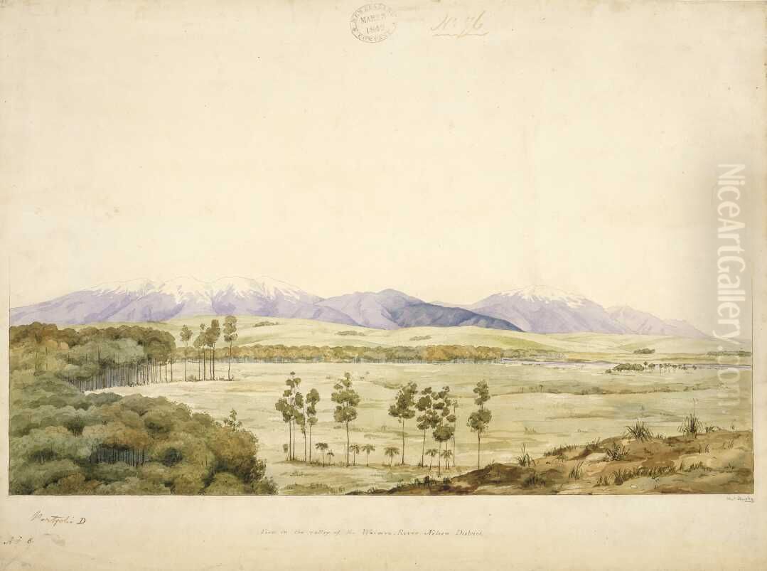 View in the valley of the Waimea River, Nelson district Oil Painting by Charles Heaphy