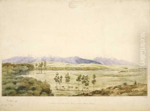 View in the valley of the Waimea River, Nelson district