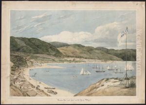 Thorndon Flat and part of the city of Wellington.