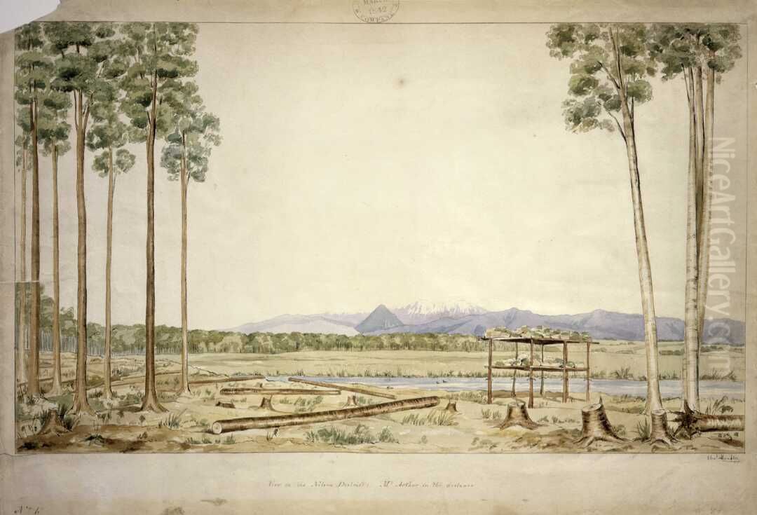 View in the Nelson district; Mt. Arthur in the distance no. 6 Oil Painting by Charles Heaphy