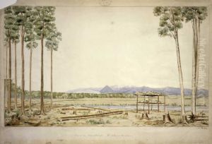 View in the Nelson district; Mt. Arthur in the distance no. 6