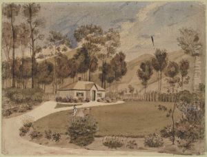 The home of Mr & Mrs William Bishop, Maitai Valley