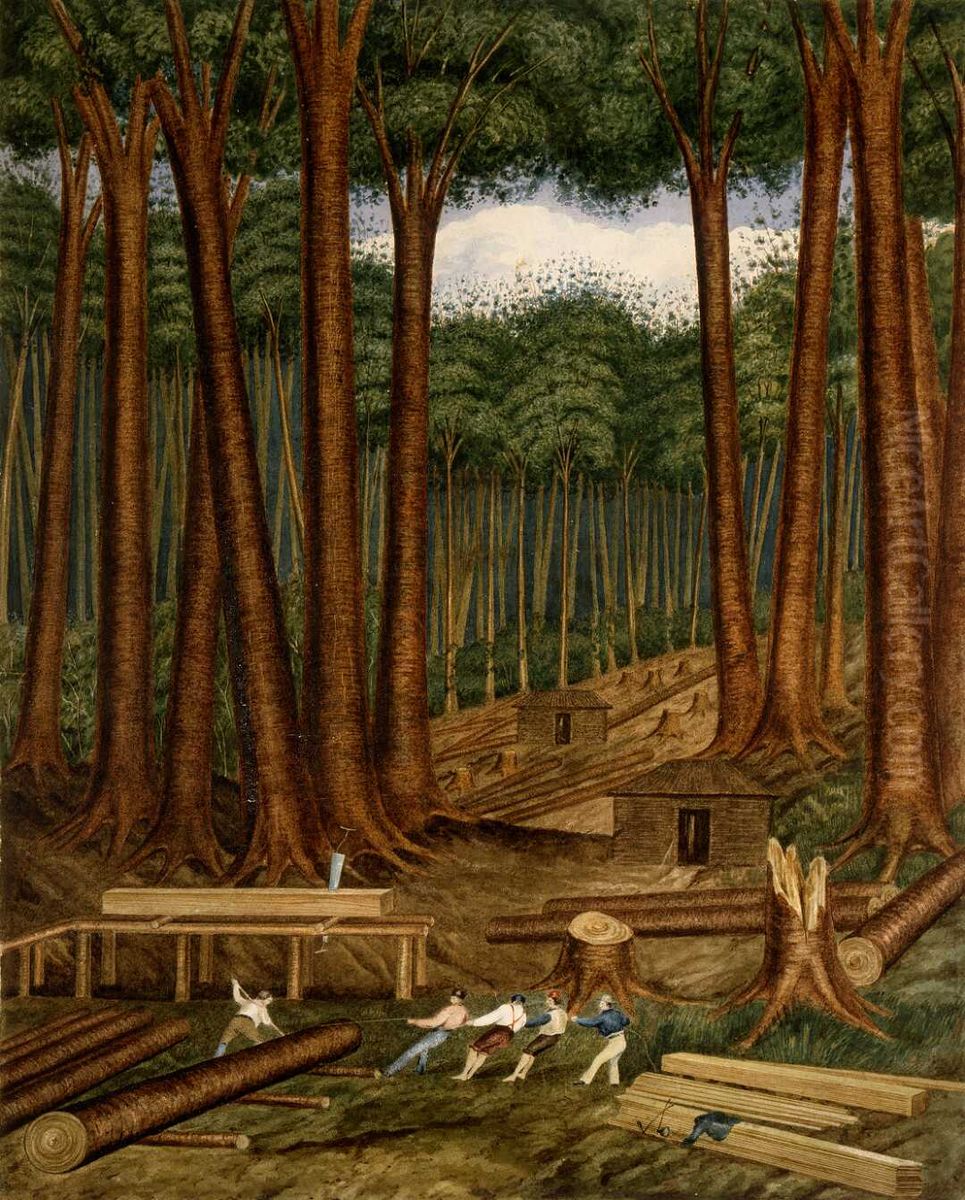 Kauri forest, Wairoa River, Kaipara. Oil Painting by Charles Heaphy