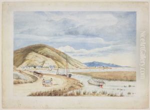 View of Nelson foreshore