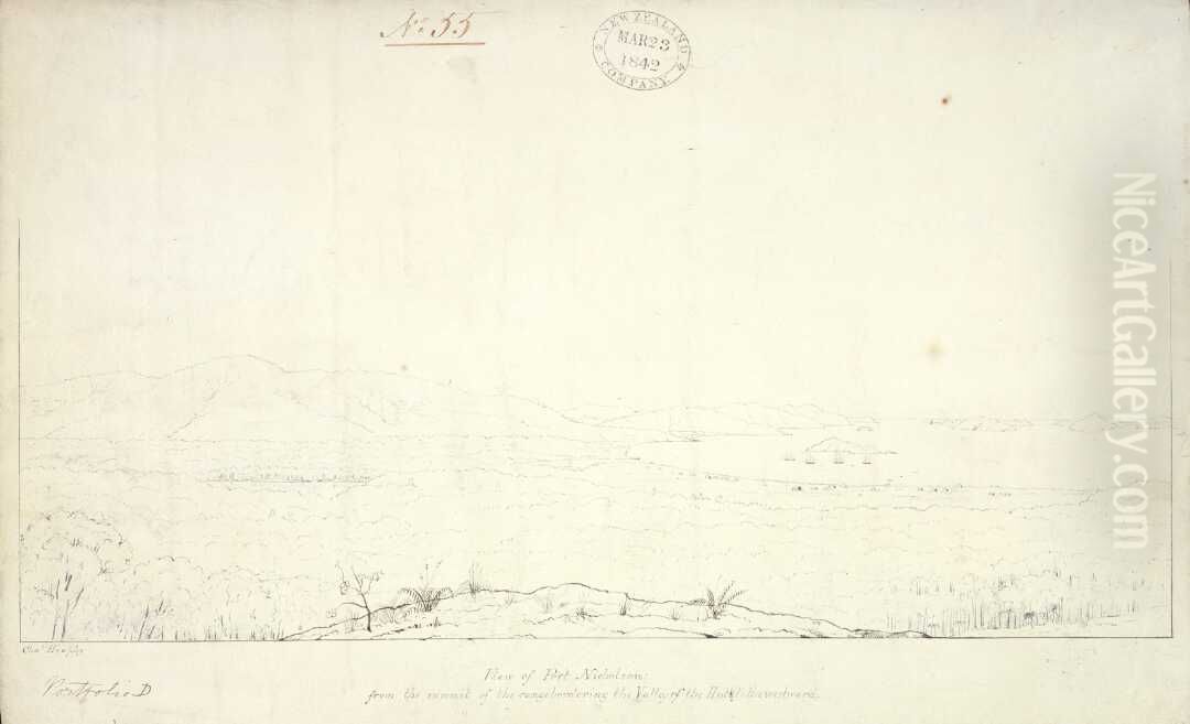 View of Port Nicholson from the summit of the range bordering the valley of the Hutt to the westward Oil Painting by Charles Heaphy