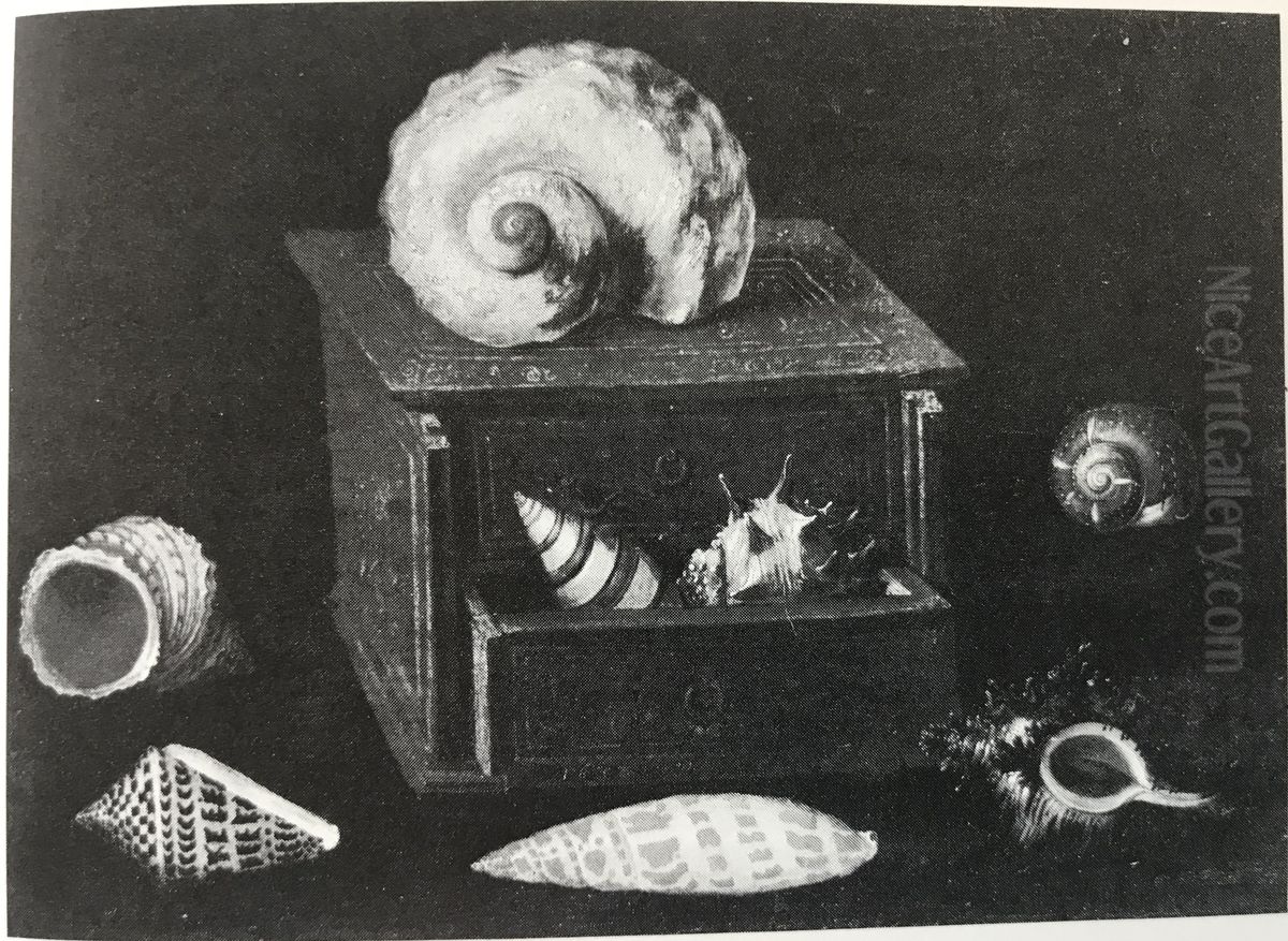 Collection of Shells with their Box Oil Painting by Jacques Linard