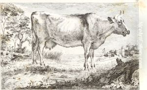 Study of a Cow