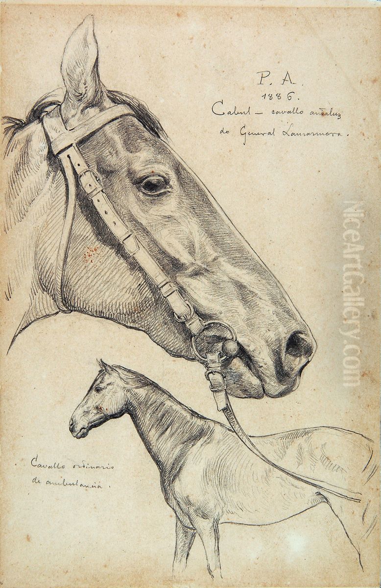 Cabul - Cavalo Ingles - Estudo Oil Painting by Pedro Americo