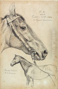 Cabul - Cavalo Ingles - Estudo