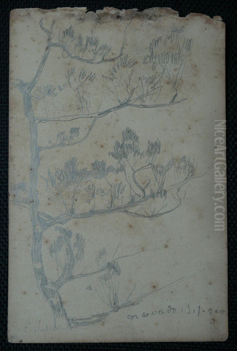 Arbustos - Desmembrado de um caderno de anotacoes Oil Painting by Eliseu Visconti