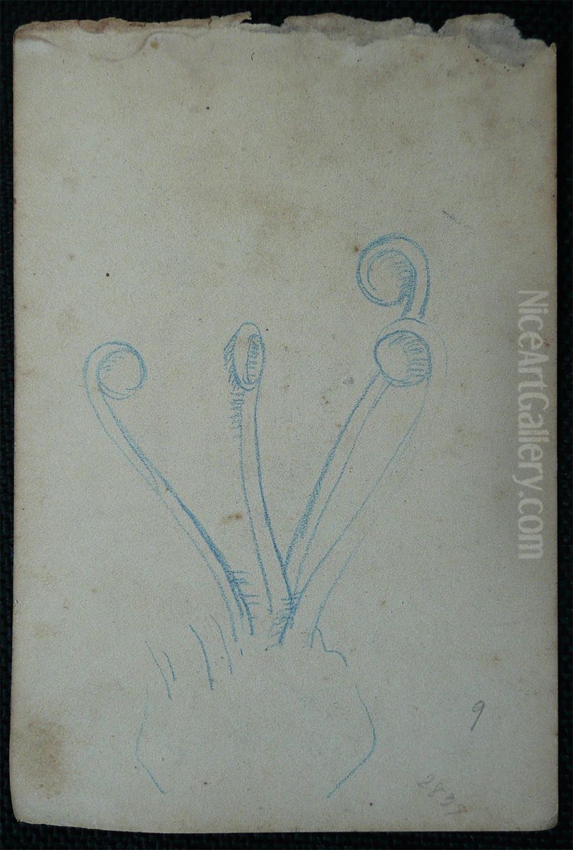 Pistilos - Desmembrado de um caderno de anotacoes - verso da obra D967 Oil Painting by Eliseu Visconti