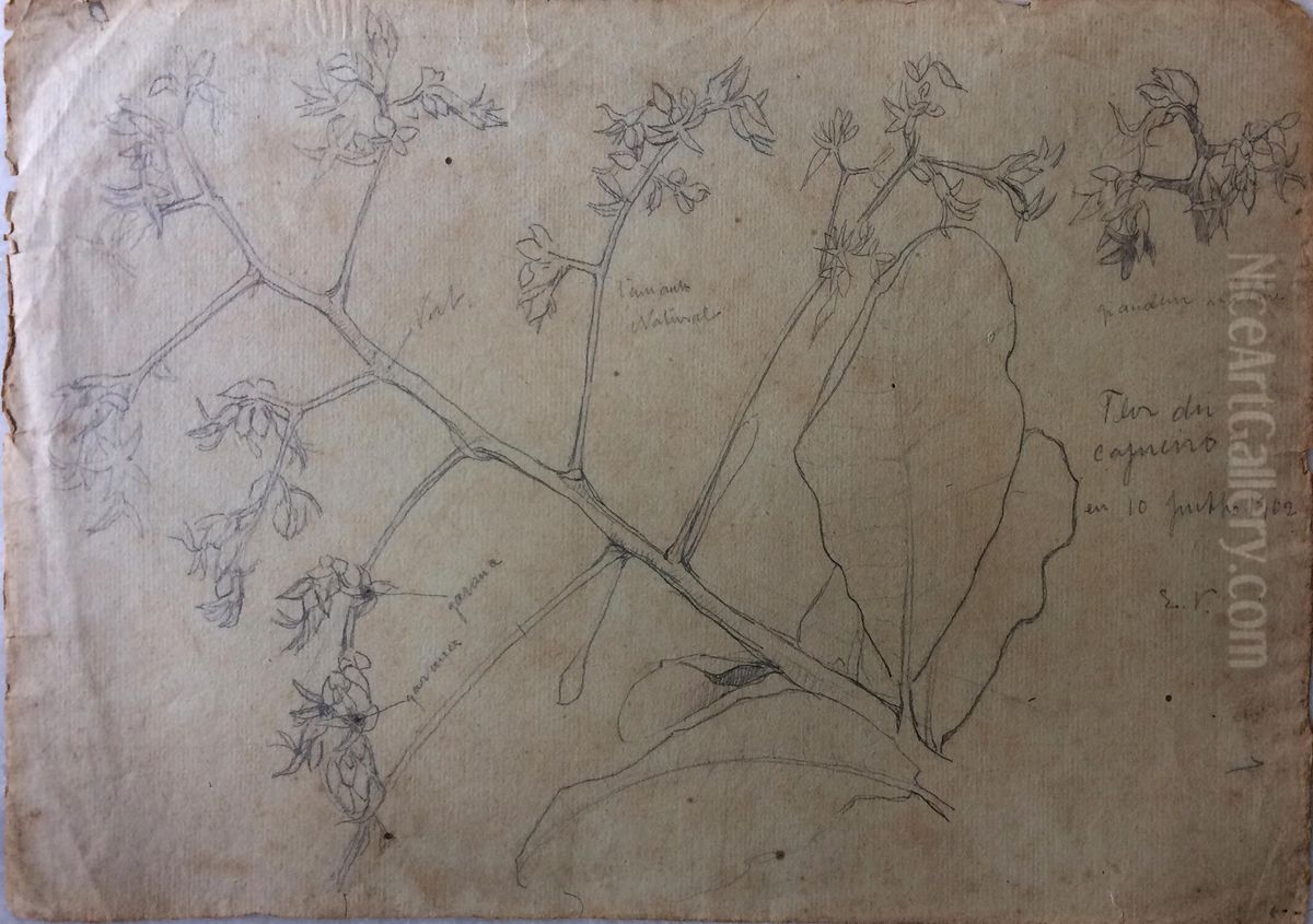 Flor de cajueiro Oil Painting by Eliseu Visconti