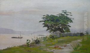 Vista da Gamboa