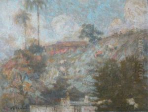 Morro de Santo Antonio com palmeiras