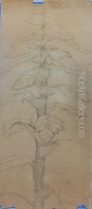Vegetal - verso da obra D969