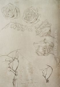 Rosas do meu jardim