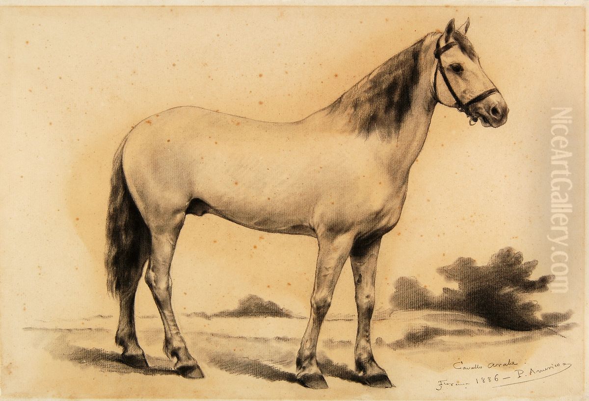 Cavalo Arabe - Estudo Oil Painting by Pedro Americo