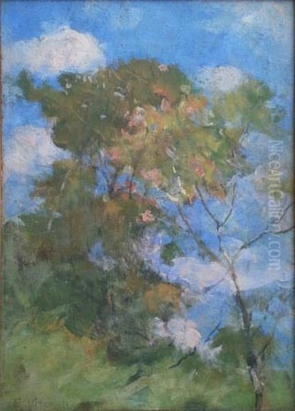 Ceu de Teresopolis Oil Painting by Eliseu Visconti