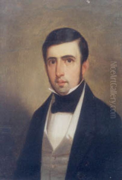 Martim Francisco Ribeiro de Andrada e Silva (filho), da colecao Museu Historico Nacional Oil Painting by Museu Historico Nacional collection