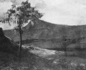 Riacho e canoa (atribuido), da colecao Museu Historico Nacional