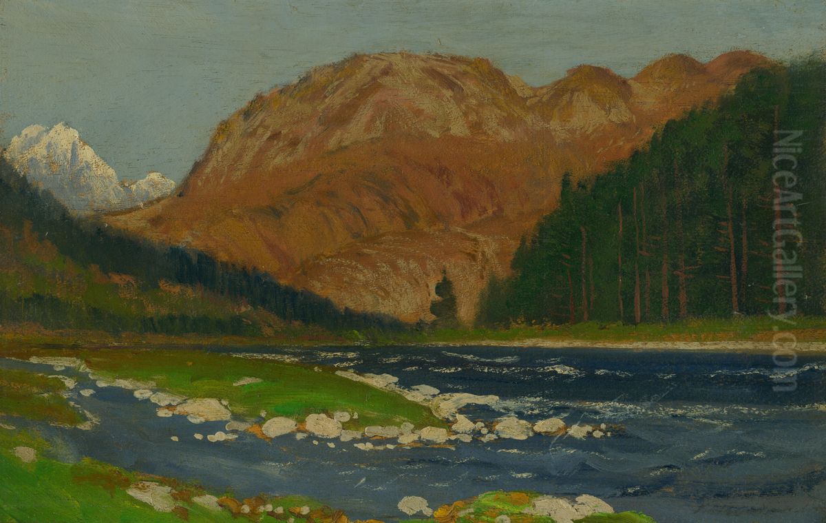 Krajina pri Dunaji Oil Painting by Nandor Katona