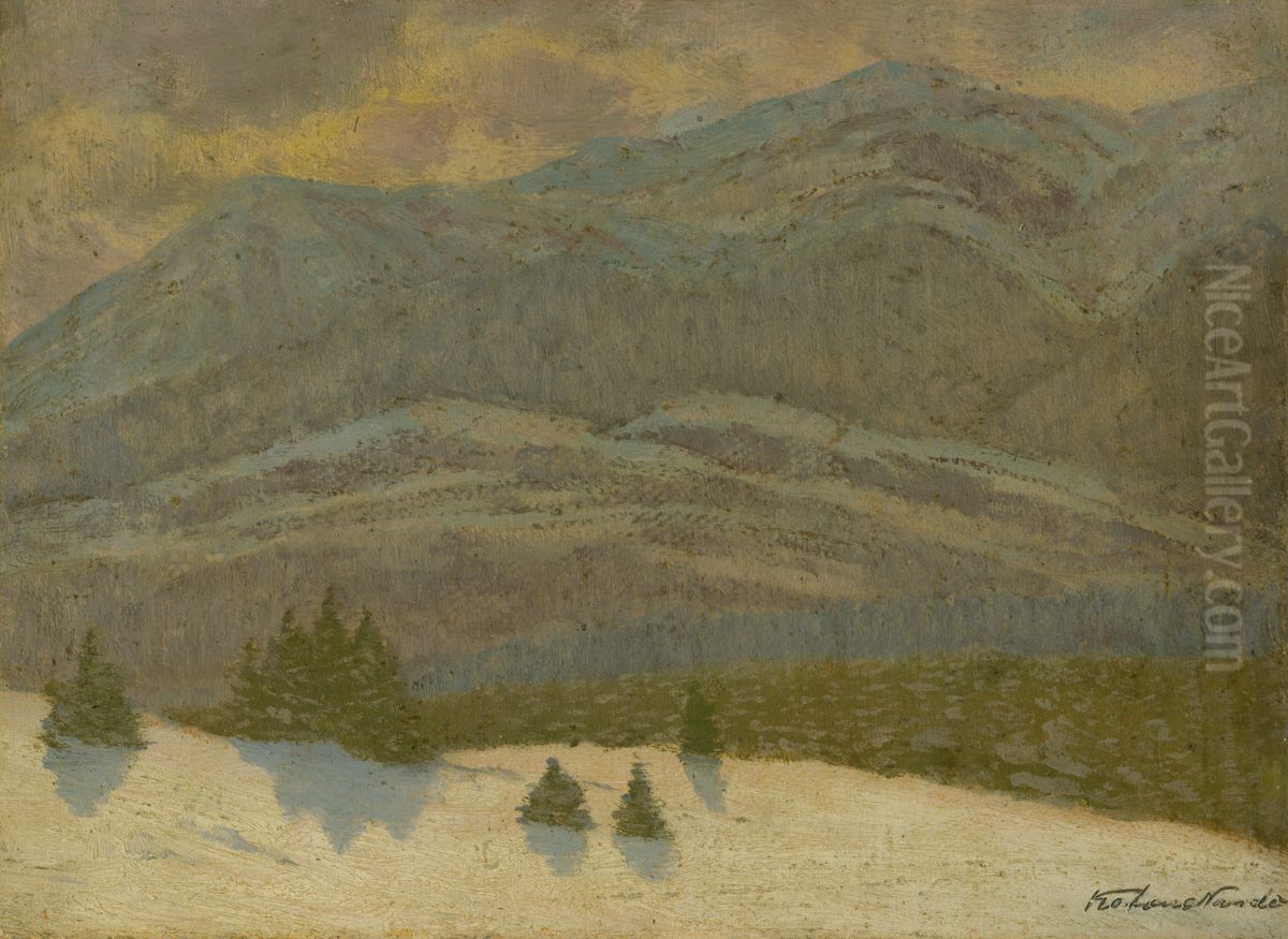 Krajinka Oil Painting by Nandor Katona