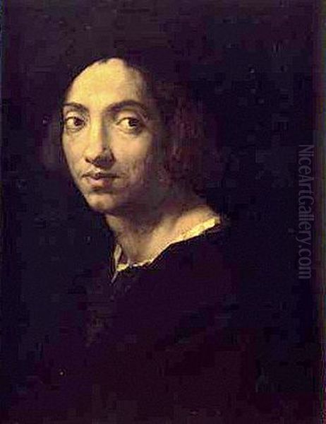 Retrato de Homem Oil Painting by Francesco Franciabigio