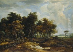 Eingang zum Wald Eingang zum Wald