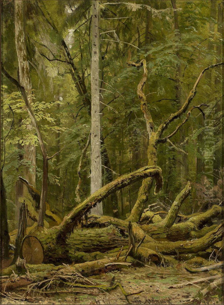Cut down oak Oil Painting by Ivan Shishkin