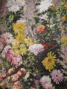 White and yellow chrysanthemums. Petit Gennevilliers garden White and yellow chrysanthemums. Petit Gennevilliers garden