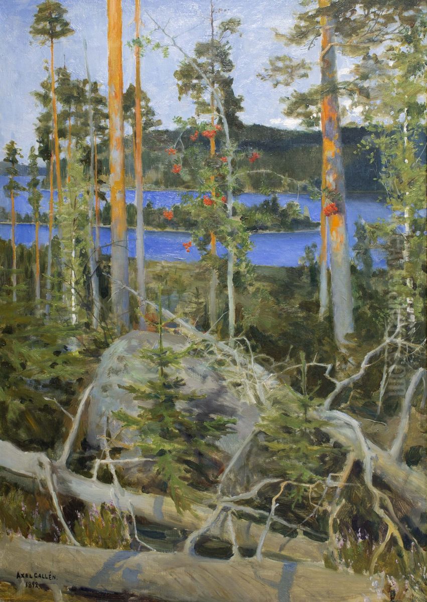 Wilderness Lake Oil Painting by Akseli Valdemar Gallen-Kallela