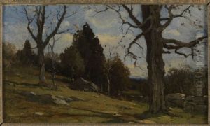 Hillside