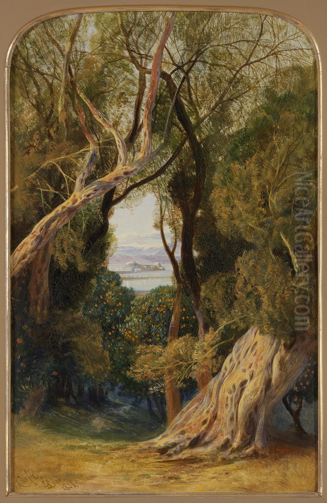 Corfu from near the Village of Viros Oil Painting by Edward Lear