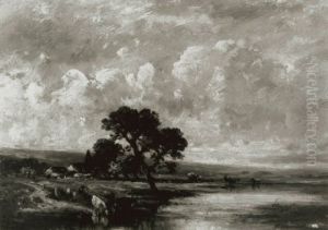 Cows Drinking