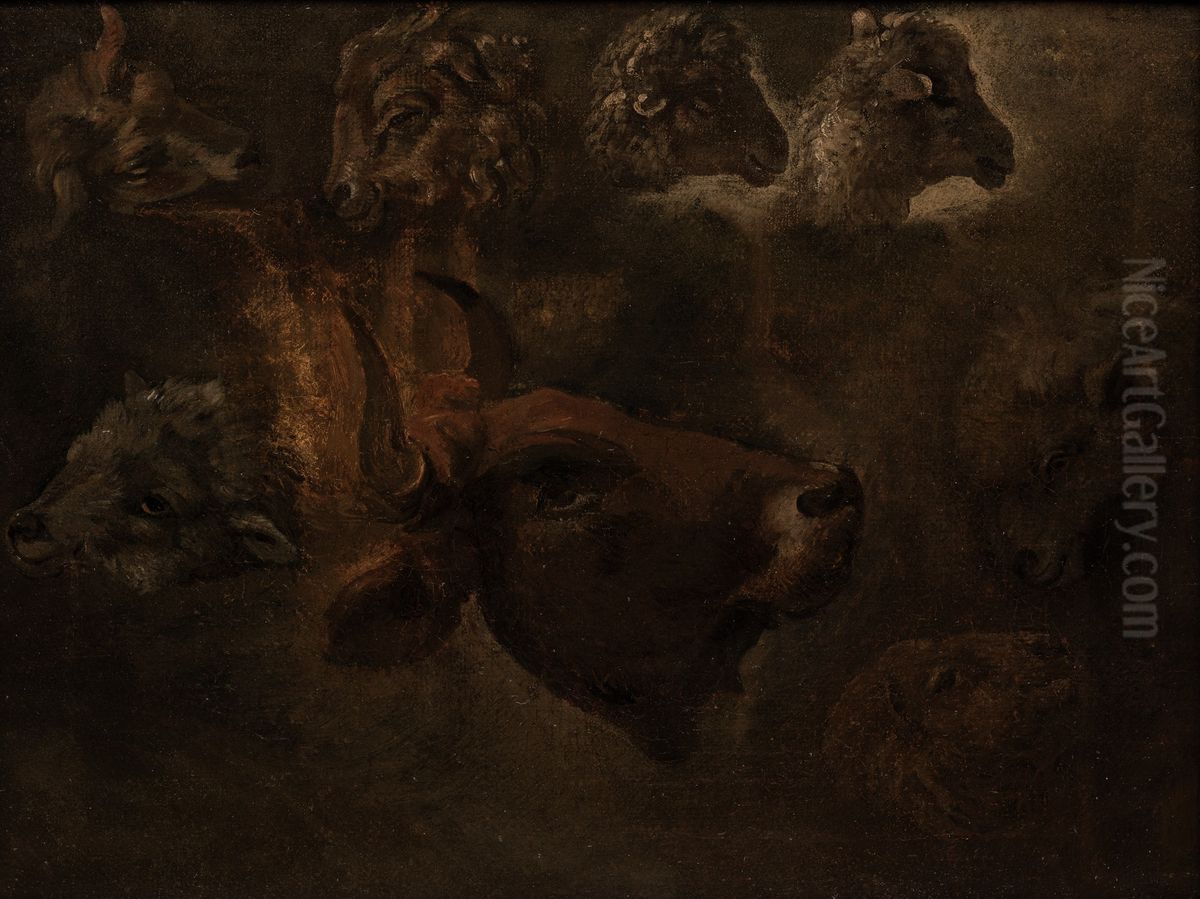 Studies of Animal Heads Oil Painting by Thomas Cole