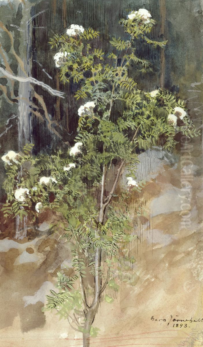 White rowan Oil Painting by Eero Jarnefelt