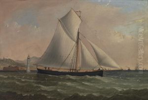 Pilgrim