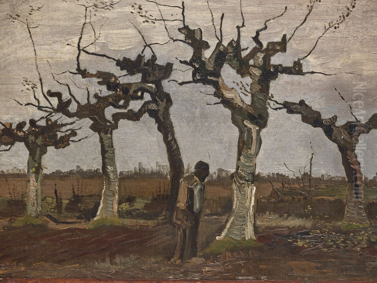 Landscape with Pollard Willows Oil Painting by Vincent Van Gogh