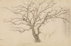 Study of a Tree