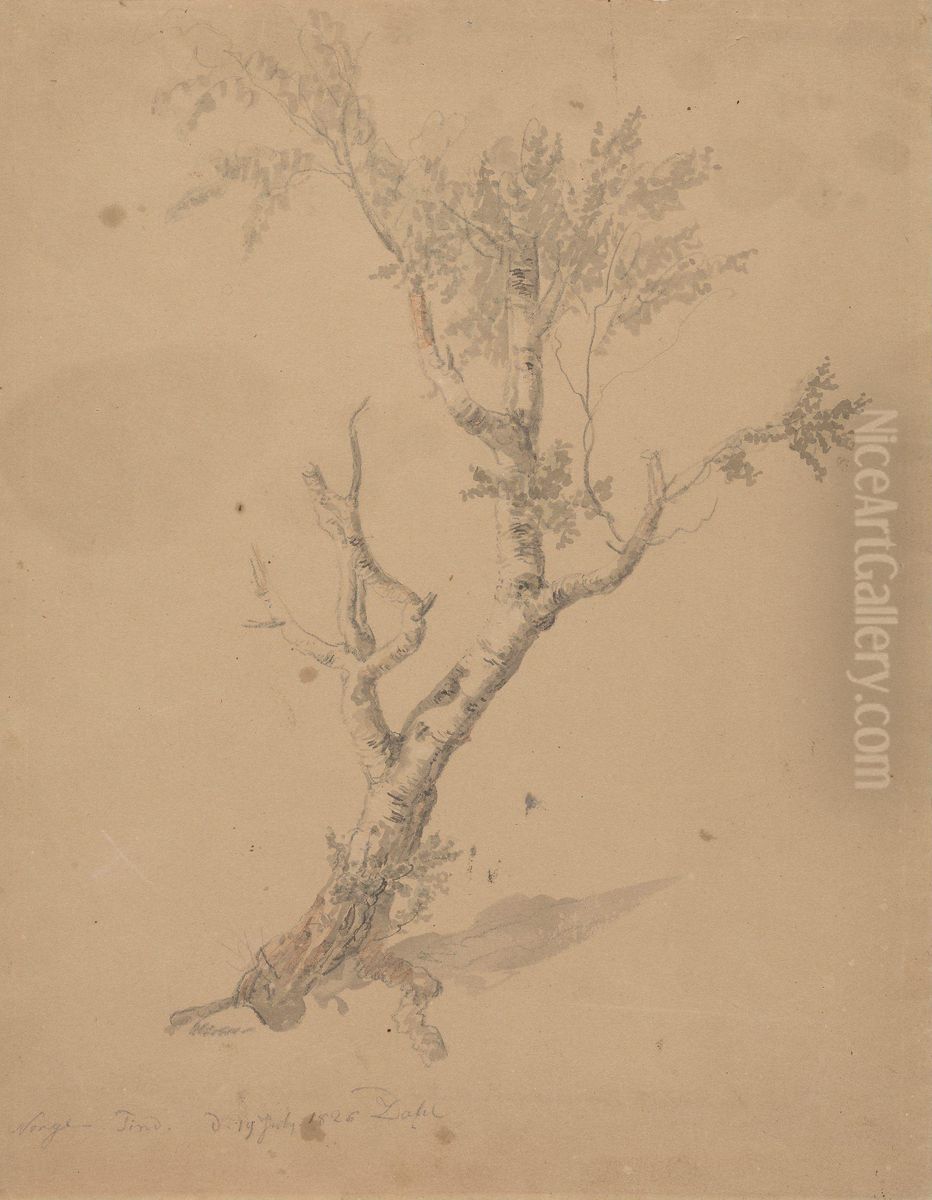 Study of a birch tree Oil Painting by Johan Wilhelm Ludwig Dahl