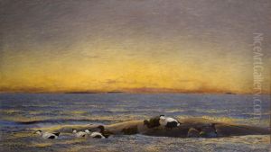 Morning Mood by the Sea