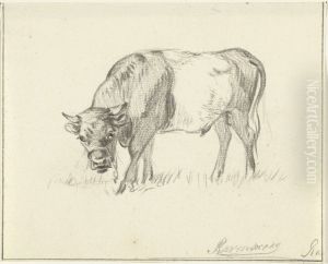 Grazende stier, naar links