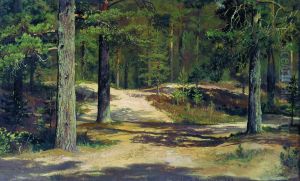 Pine Forest