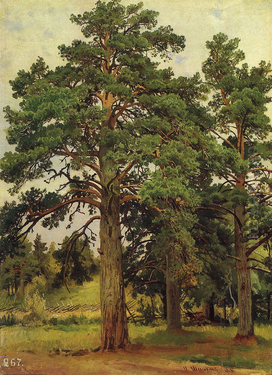 <<Sosna bez solnca. Meri-Hovi po Finlandskoj zeleznoj doroge>> Oil Painting by Ivan Shishkin