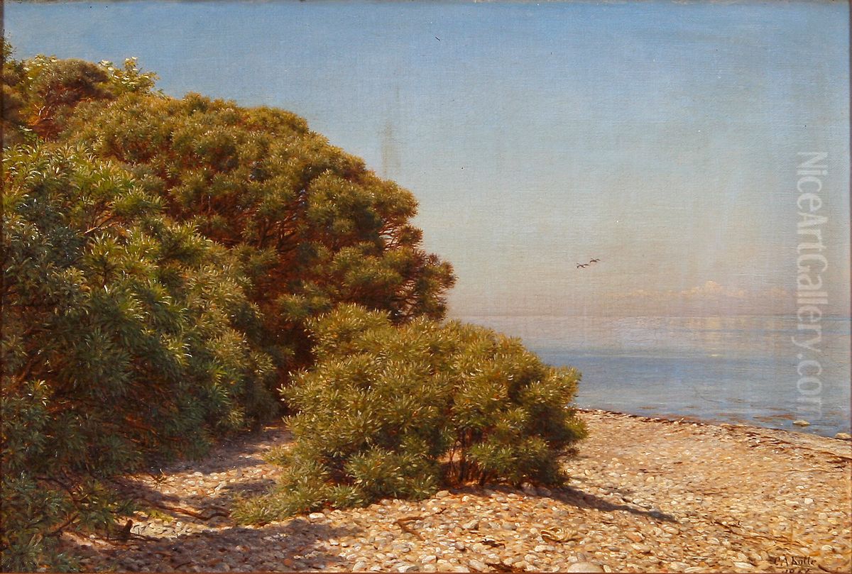 A sunny coastal scenery. Oil Painting by C. A. Kolle
