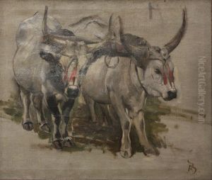 Attelage de zebus en Inde, etude