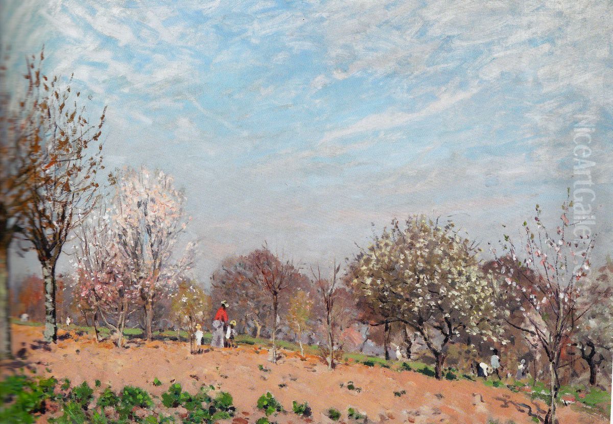 Apple Trees in flower at Louveciennes Oil Painting by Alfred Sisley
