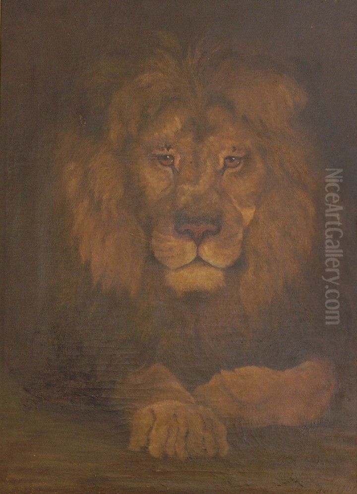 The Lion Oil Painting by Julia Wernicke