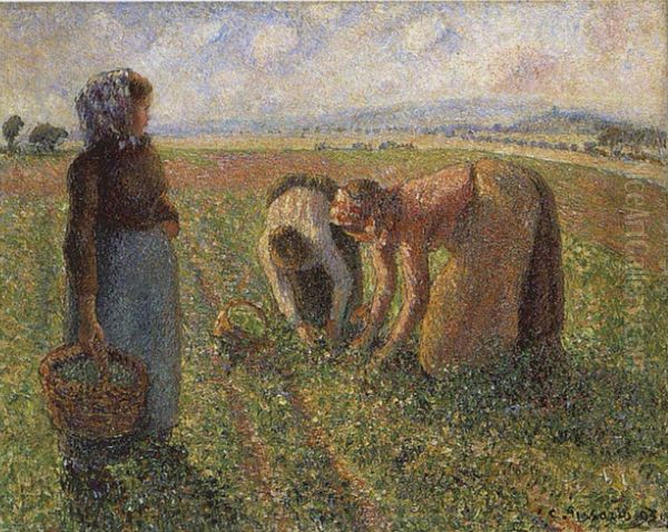 Pea Harvest, Eragny Oil Painting by Camille Pissarro
