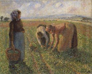 Pea Harvest, Eragny
